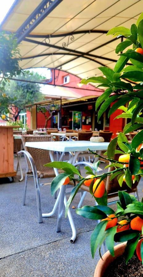 Camping Mas Du Sartre Saint Alban Auriolles Екстериор снимка